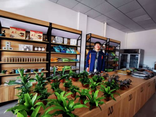 湖州農校學生創業孵化中心正式開業了